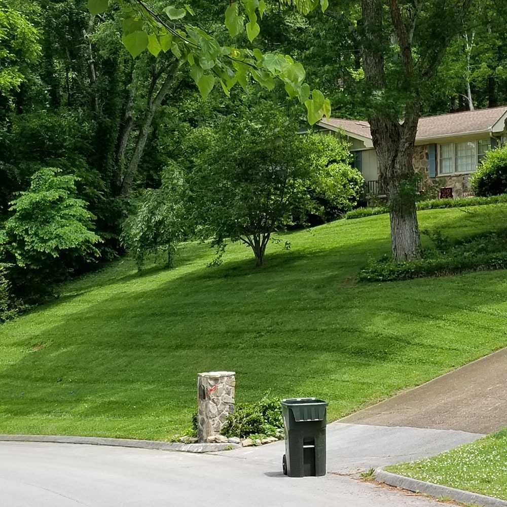 Freshly mowed front yard on a gentle slope with shade trees and a clean edge along the driveway